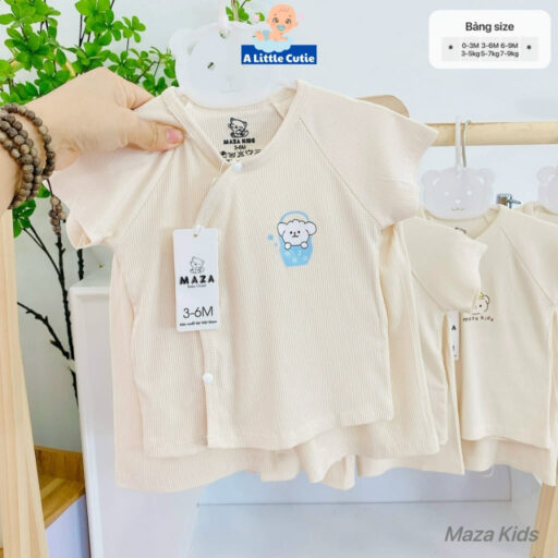 Bộ Quần Áo Cộc Sơ Sinh, Bộ Quần Đùi Áo Cộc Cho Bé Vải Tăm Lạnh BQA028 - A LITTLE CUTIE