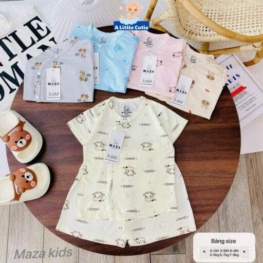 Bộ Cộc Sơ Sinh Bé Trai Bé Gái, Quần Đùi Áo Cộc Cho Bé Vải Petit BQA029 - Hình ảnh 10