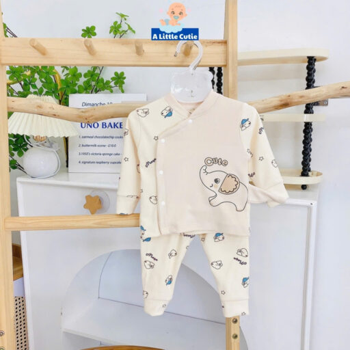 Quần áo sơ sinh mùa đông, quần áo bé trai bé gái dài tay vải nỉ nhung QC cao cấp BQA036 - Hình ảnh 8